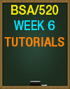 BSA/520 Week 6 Configuration management and change management practices